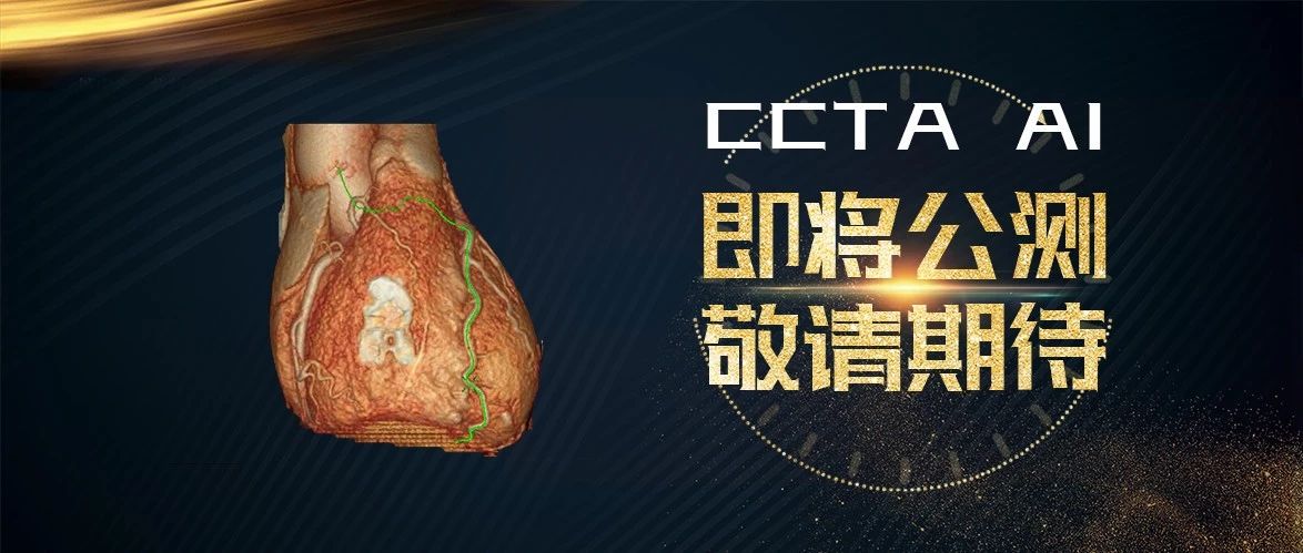 這項(xiàng)人工智能云服務(wù)，將徹底改變CTA冠心病診斷模式